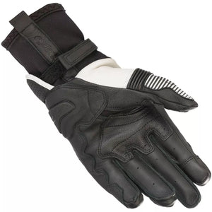 Alpinestars GP X V2 Touchscreen Leather Motorcycle Gloves - Black / White